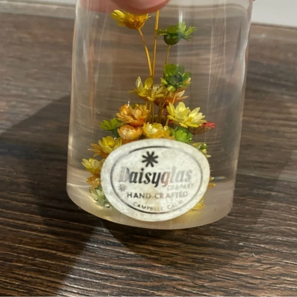 Vintage Daisyglas Company 50s/60s MCM Lucite/Acrylic Floral/Ladybug Paperweight